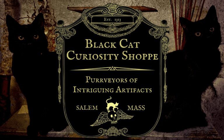 Black Cat Curiosity Shop 768x480