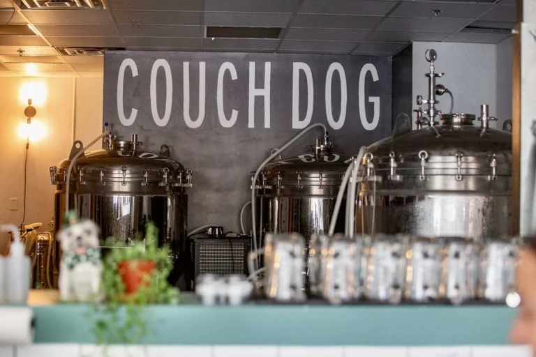 Couch Dog Brewing Image 768x512