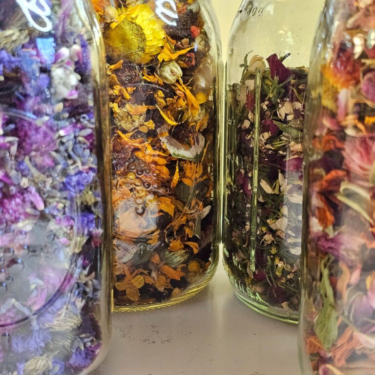 Facebook Image 23 768x768