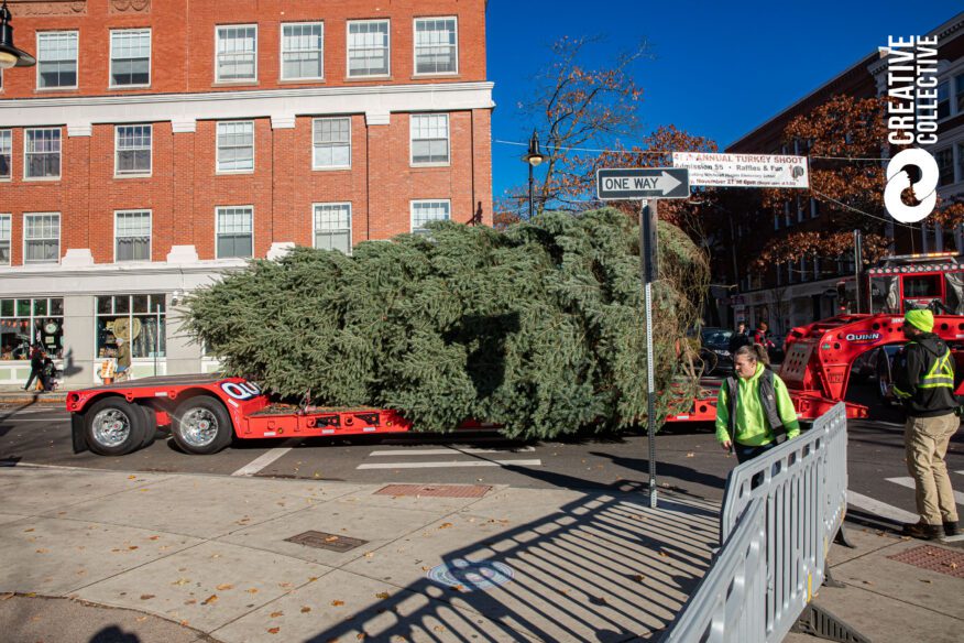 Holiday Happenings Christmas Tree Salem Ma