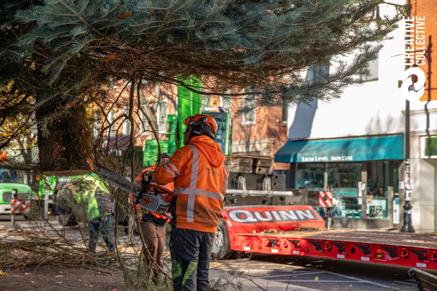 Holiday Happenings Christmas Tree Salem Ma