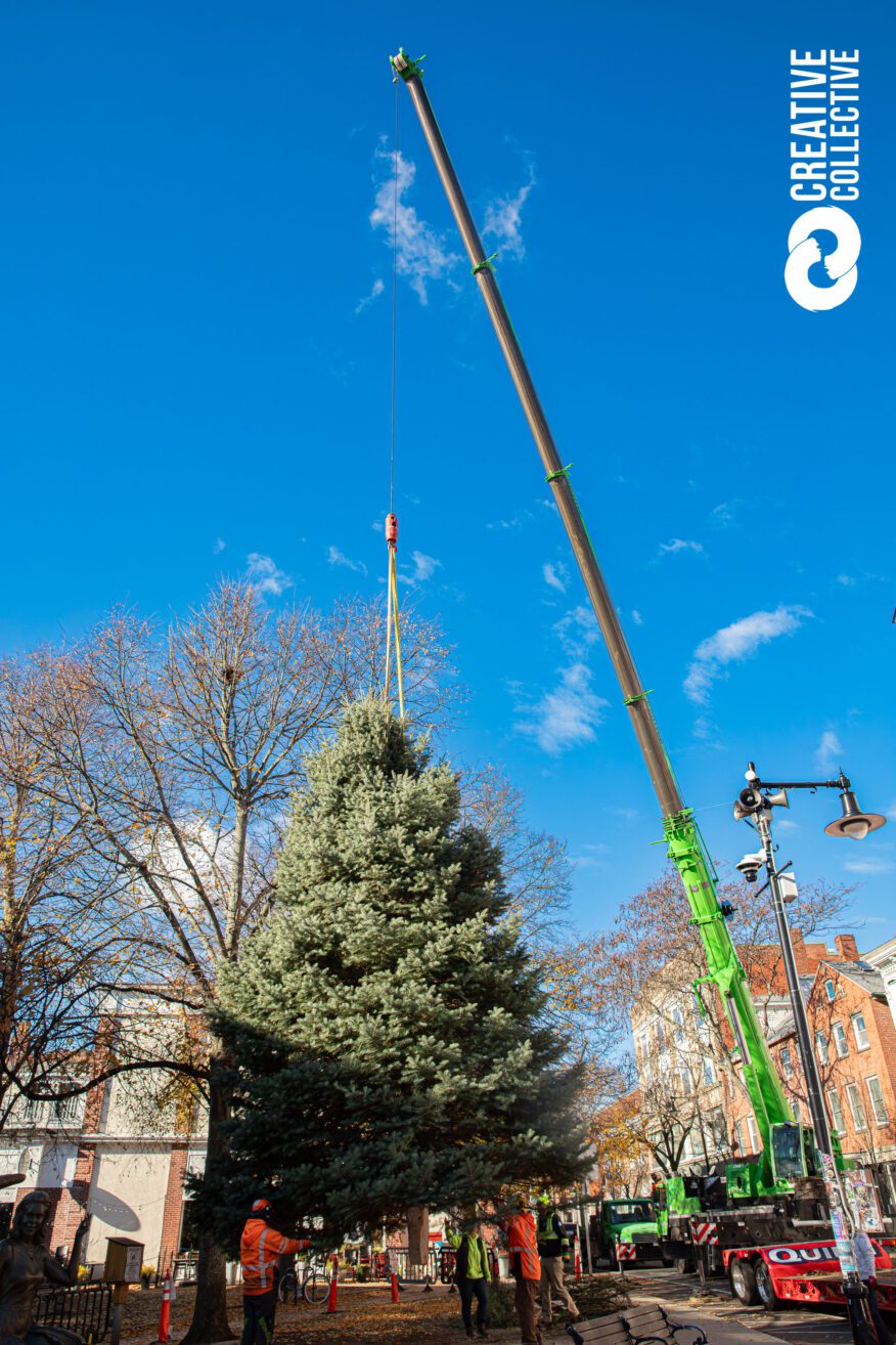 Holiday Happenings Christmas Tree Salem Ma