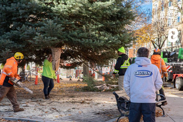 Salem Main Streets Christmas tree delivery and installation in downtown Salem