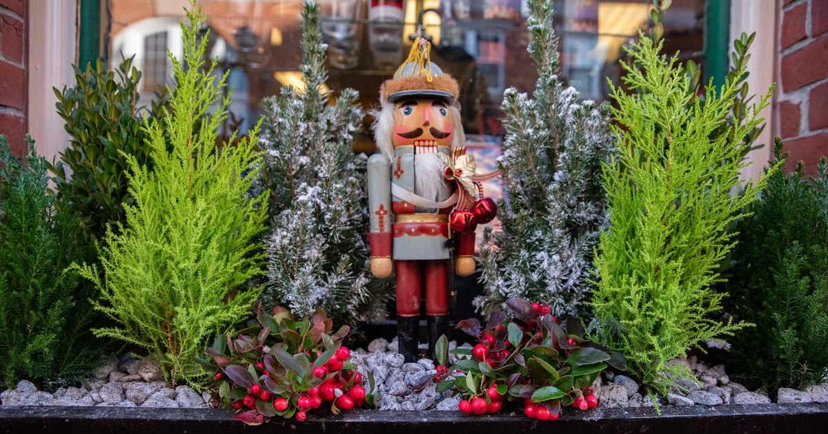 Nutcracker and winter greenery in a downtown Salem shop window